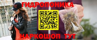 2c-b Камышлов