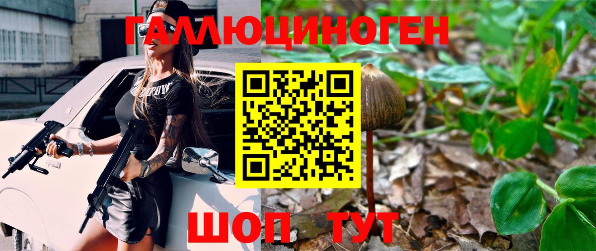 Псилоцибиновые грибы Psilocybe  Вход с VPN  Железноводск 